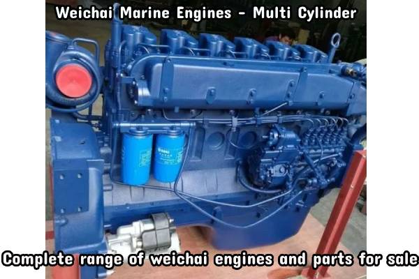 Weichai Marine Engine - Multi Cylinder Suppliers